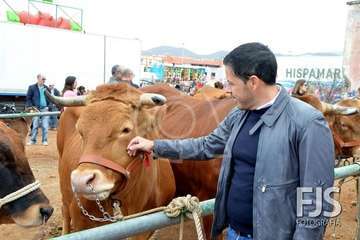 Los Llanos de Telde, en el día grande de sus fiestas patronales de 2019 (Foto Francisco Javier Santana)